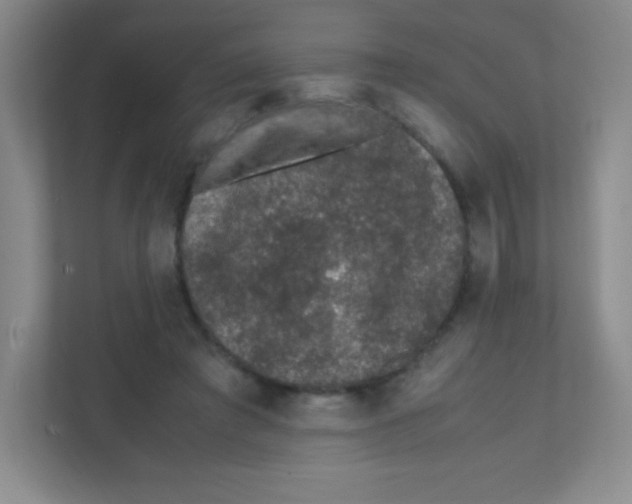 X0000111470401200908101119