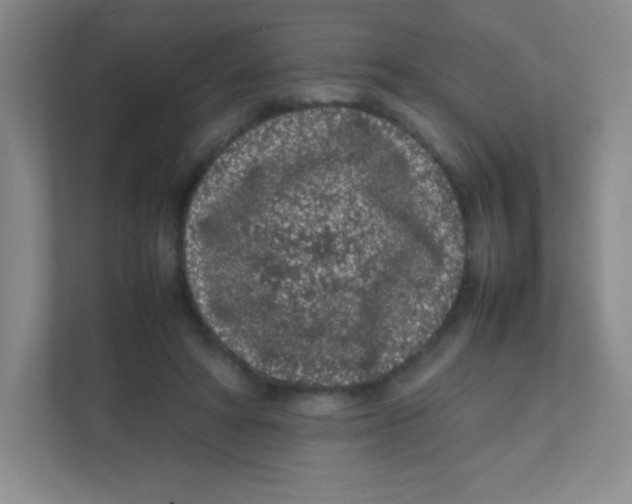 X0000111470402200908101119