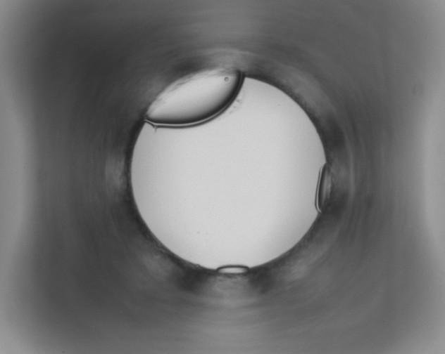 X0000111470403200908101119