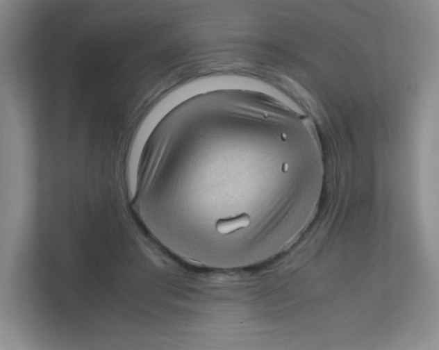 X0000111470405200908101119