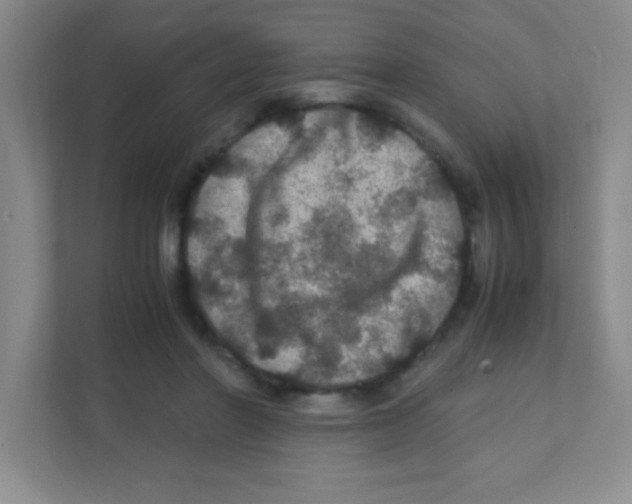 X0000111470406200908101119