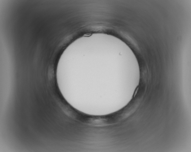 X0000111470407200908101119