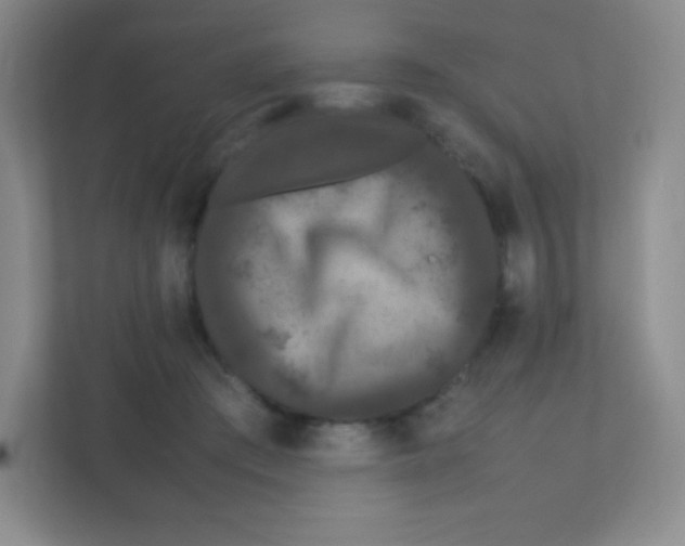 X0000111470409200908101119