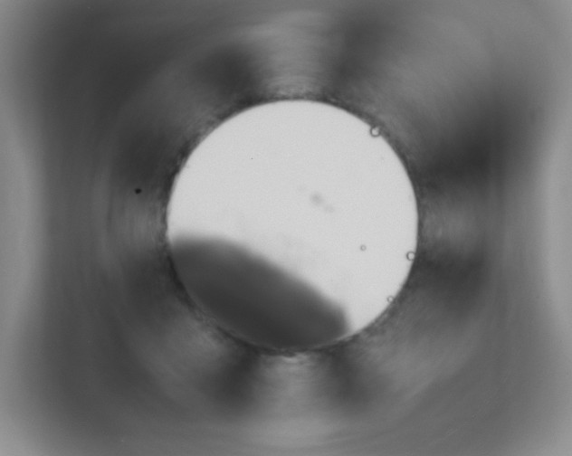 X0000111470411200908101118