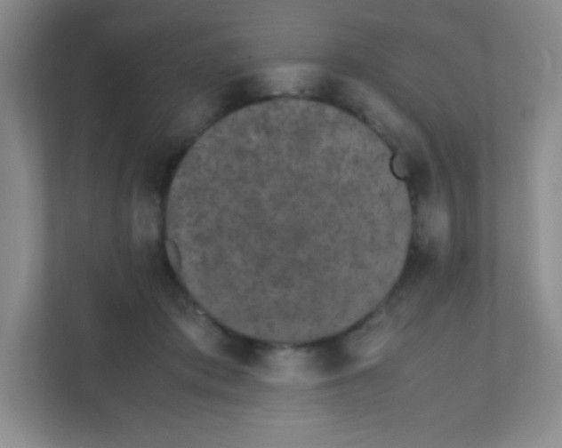 X0000111470413200908101118