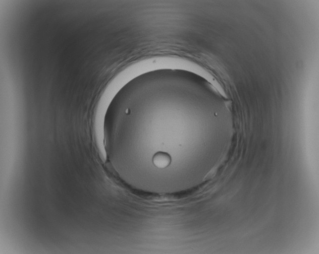 X0000111470415200908101118