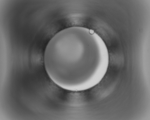 X0000111470419200908101118