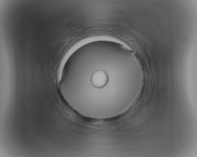 X0000111470423200908101118