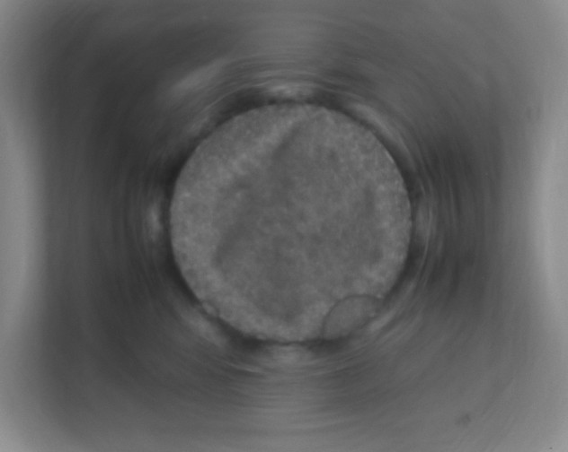 X0000111470424200908101118