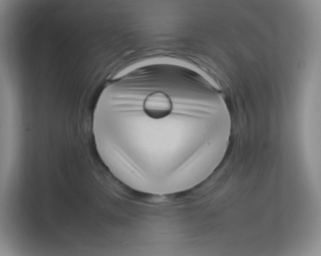 X0000111470425200908101118