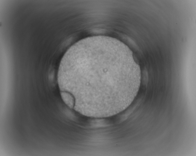 X0000111470428200908101118