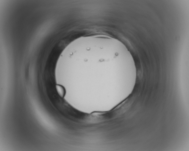 X0000111470429200908101118