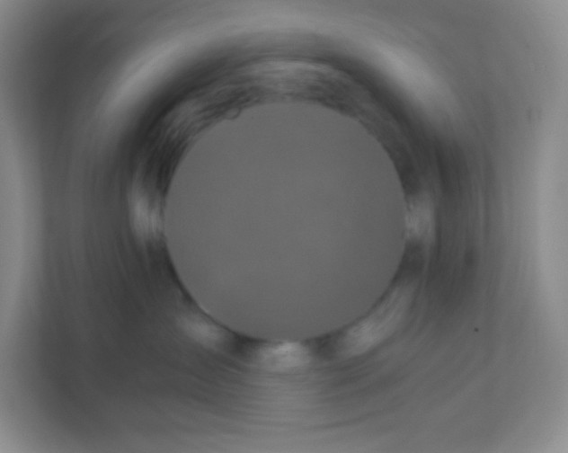 X0000111470431200908101118