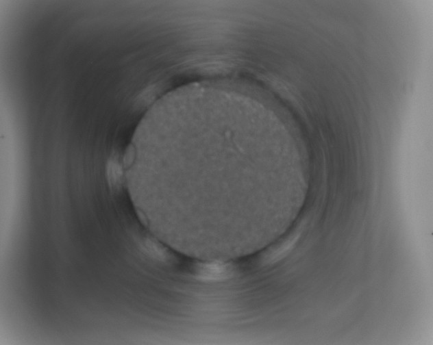 X0000111470432200908101118