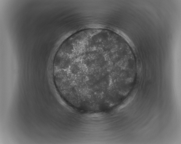 X0000111470433200908101118