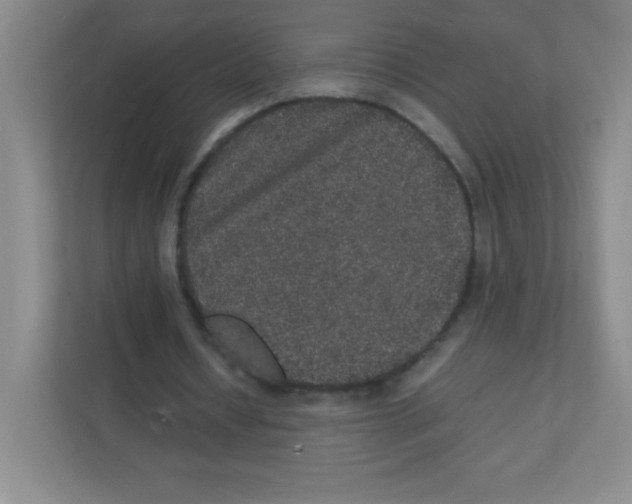 X0000111470434200908101118