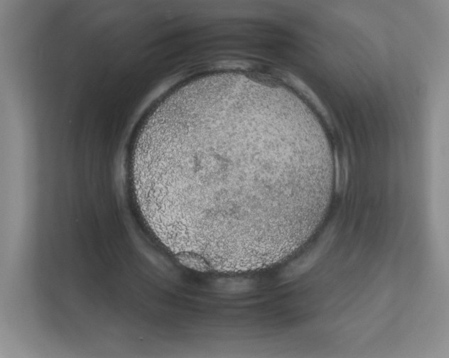 X0000111470435200908101118