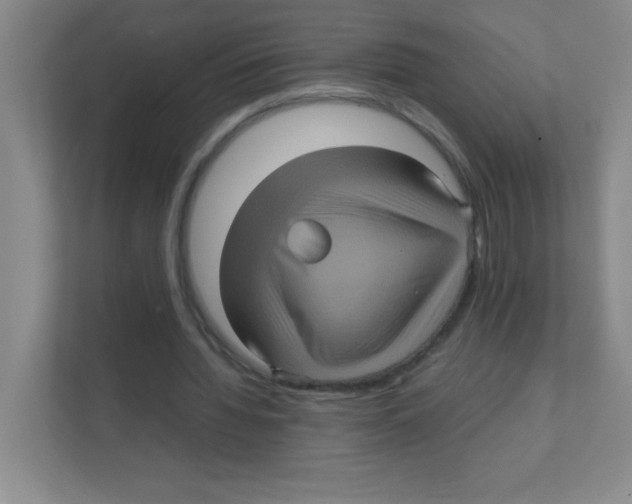 X0000111470436200908101118