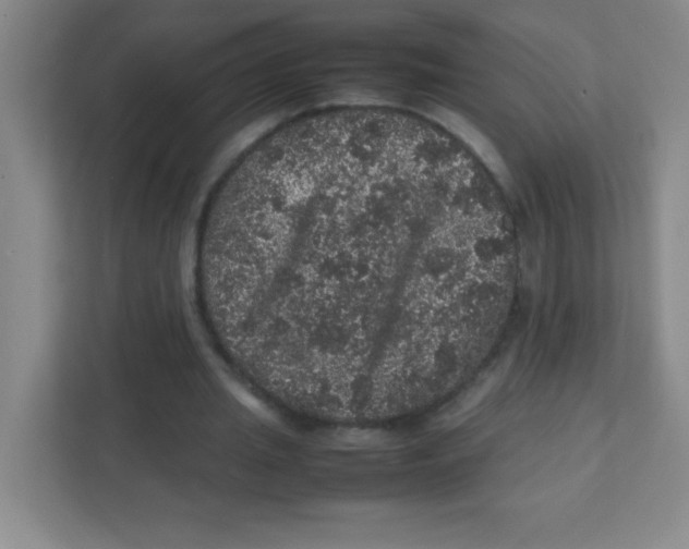 X0000111470437200908101118