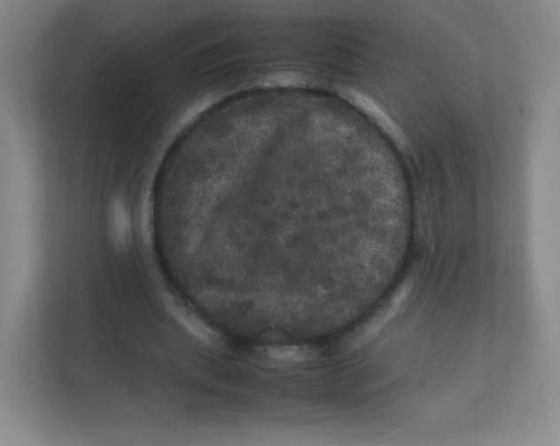 X0000111470439200908101118