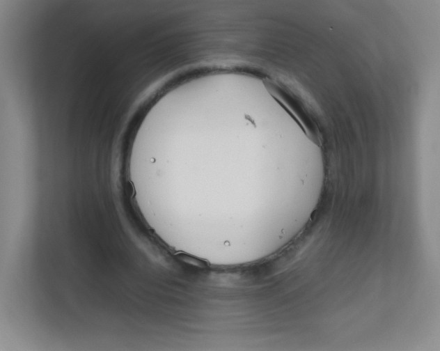 X0000111470440200908101118