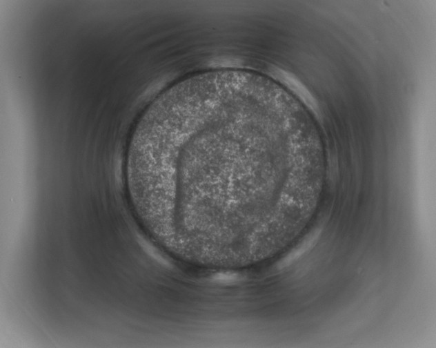 X0000111470441200908101118