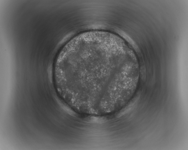 X0000111470442200908101118