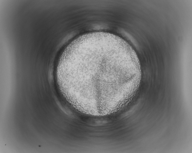 X0000111470443200908101118