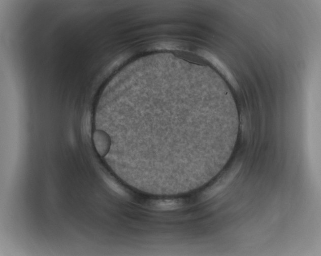 X0000111470445200908101118