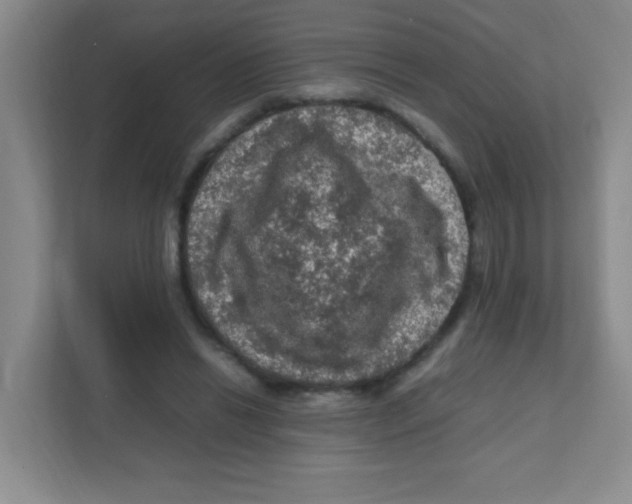 X0000111470446200908101118