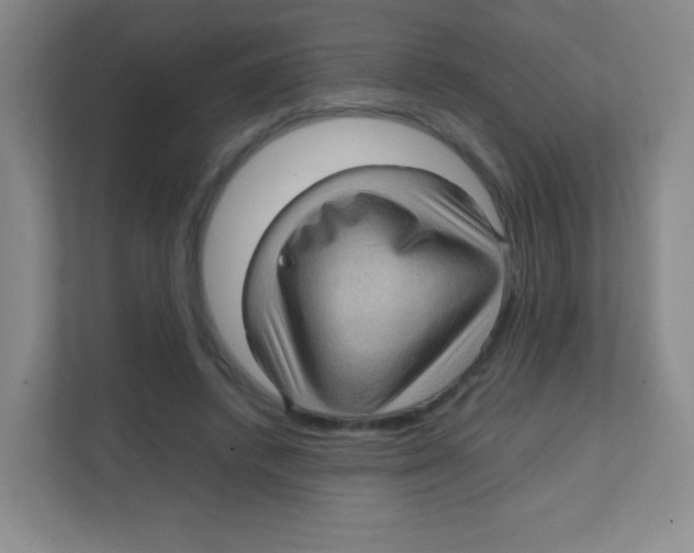 X0000111470448200908101118