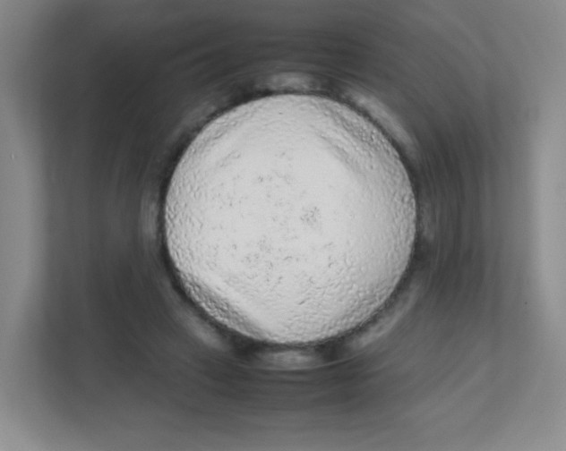 X0000111470449200908101118