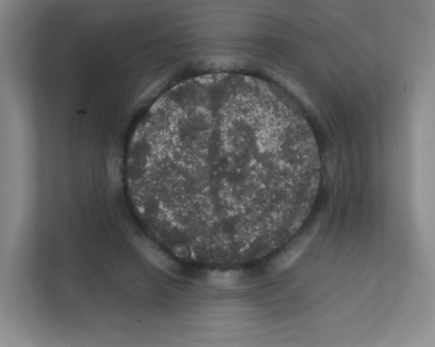 X0000111470450200908101118