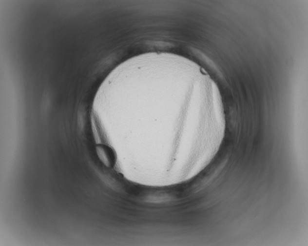 X0000111470451200908101118