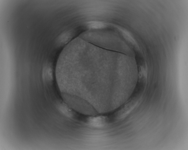 X0000111470452200908101118