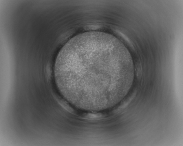 X0000111470455200908101118