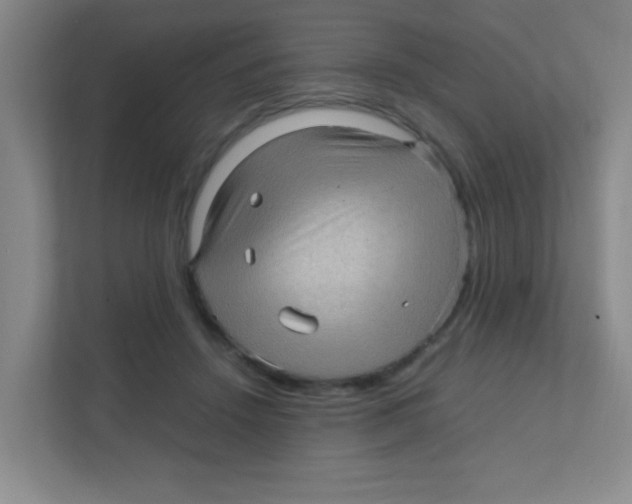 X0000111470456200908101118