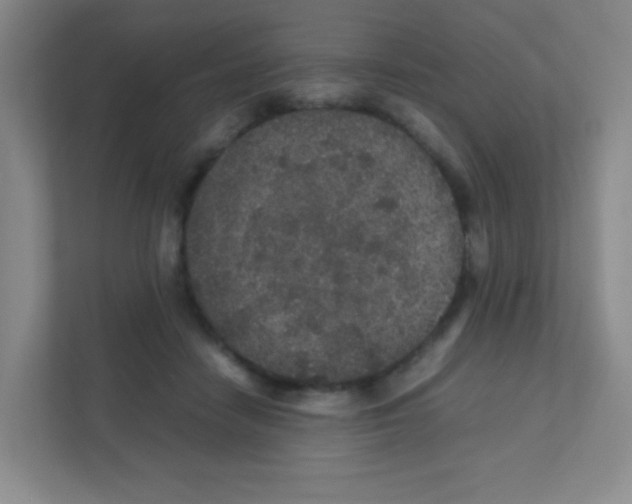 X0000111470458200908101118