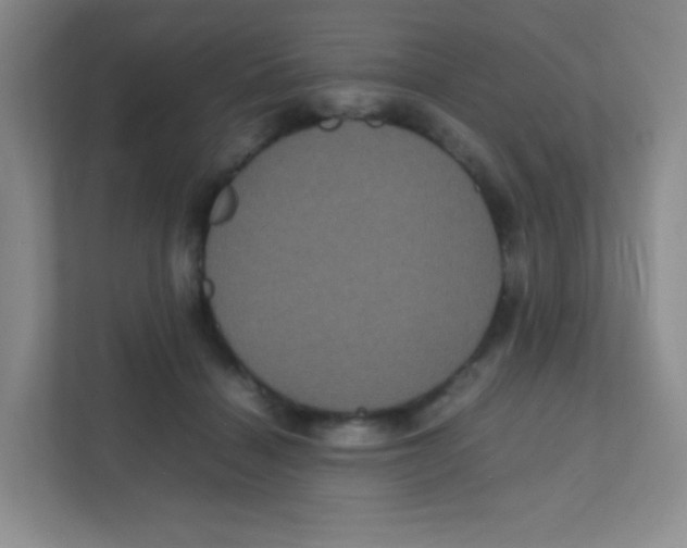 X0000111470460200908101118