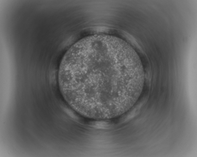 X0000111470462200908101118