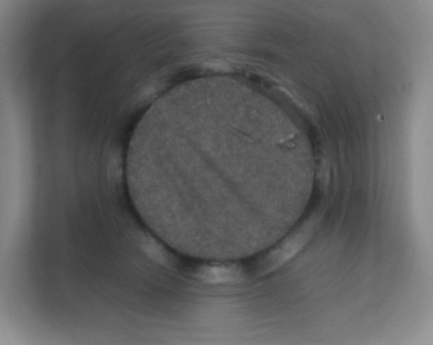 X0000111470466200908101118