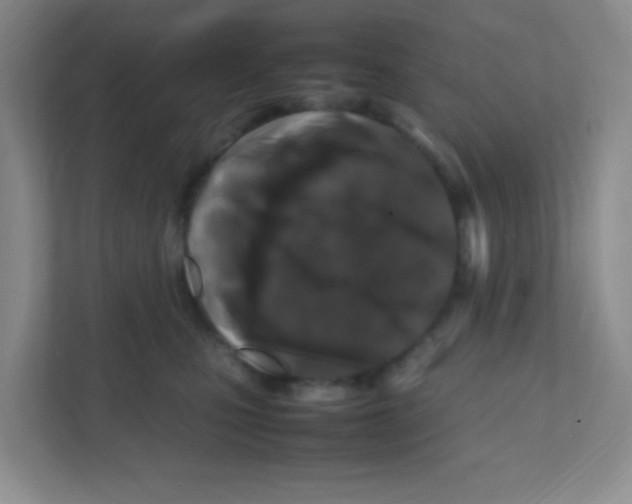 X0000111470471200908101118