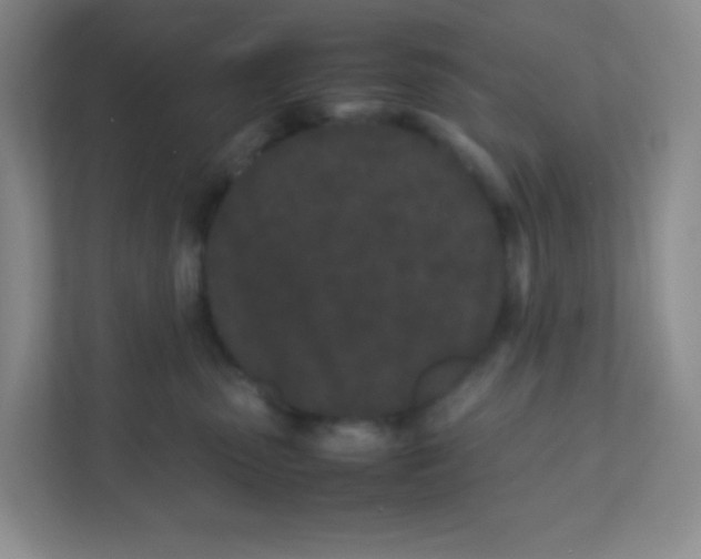 X0000111470475200908101118