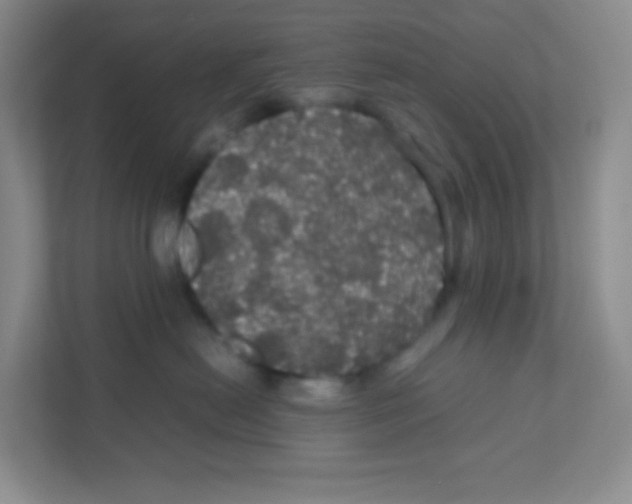 X0000111470478200908101118