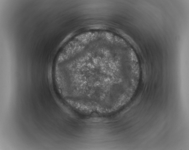 X0000111470482200908101118