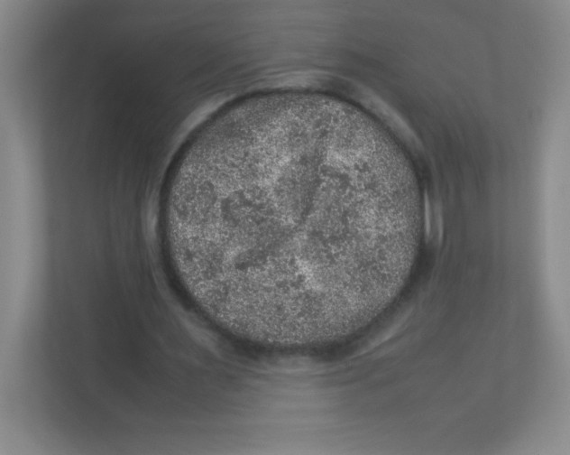 X0000111470483200908101118