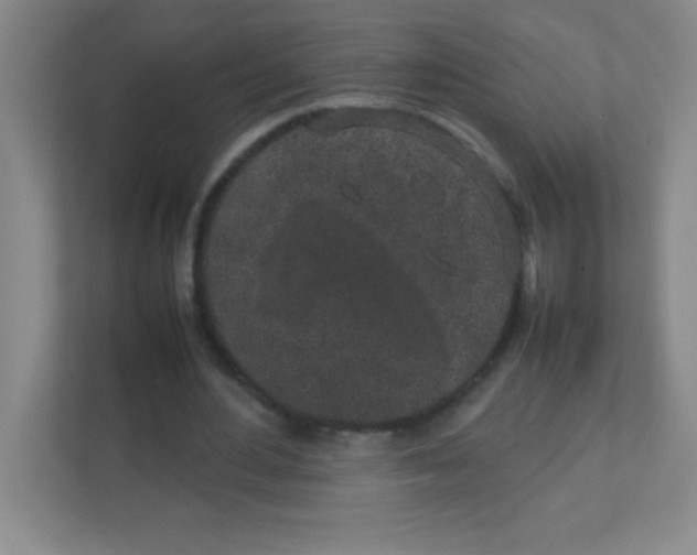 X0000111470484200908101118