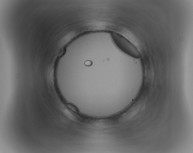 X0000111470485200908101118