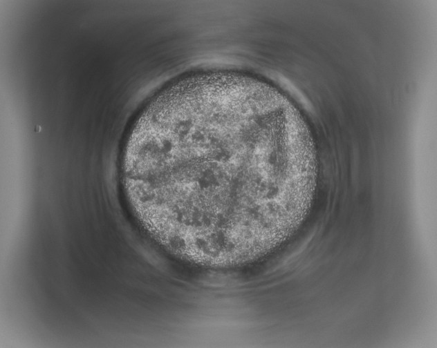 X0000111470487200908101117