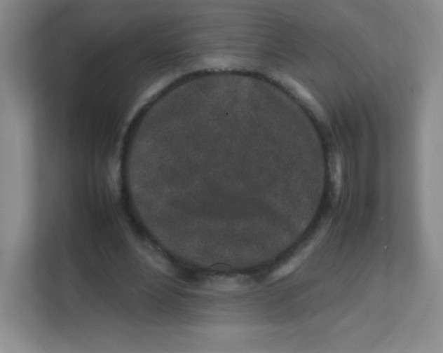 X0000111470488200908101117